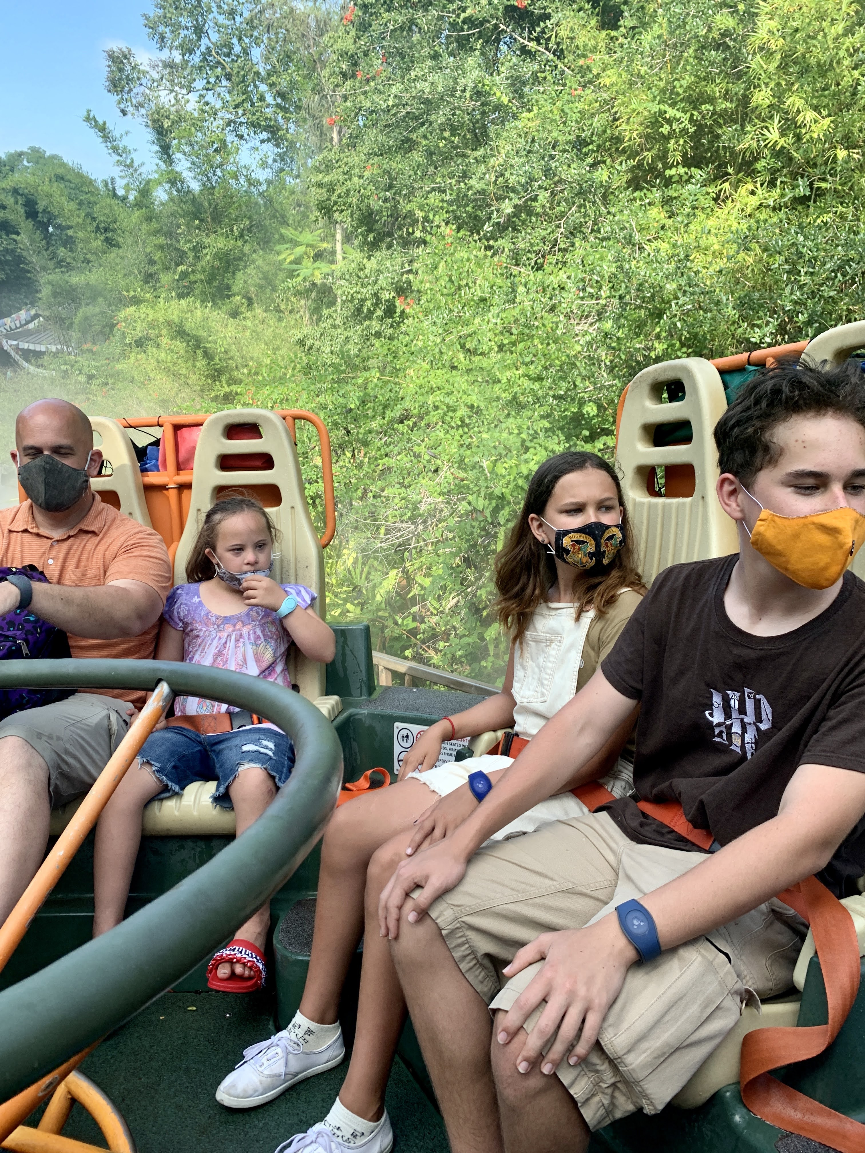 Animal Kingdom